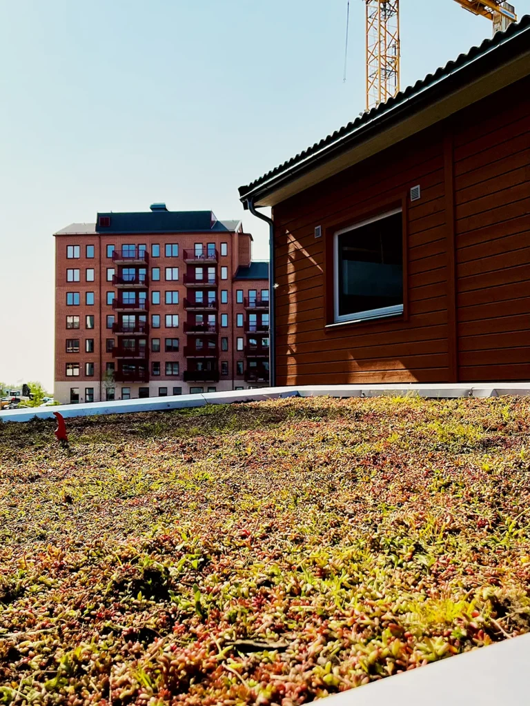 12-exterior-finish-toughwood